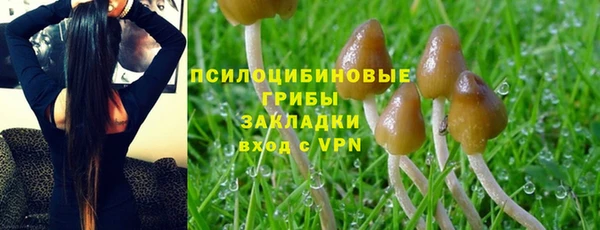 MDMA Бородино